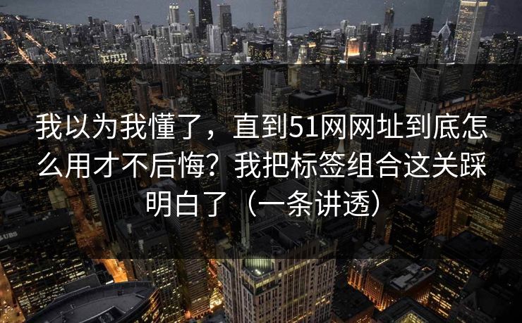我以为我懂了，直到51网网址到底怎么用才不后悔？我把标签组合这关踩明白了（一条讲透）