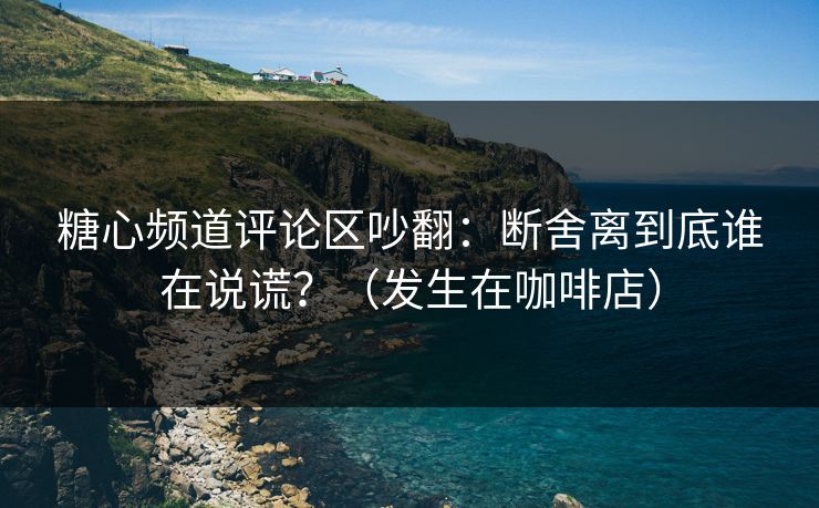 糖心频道评论区吵翻：断舍离到底谁在说谎？（发生在咖啡店）